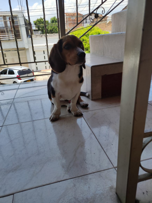 Tony