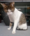 Foto de Brutilda en Mosquera Cundinamarca #3