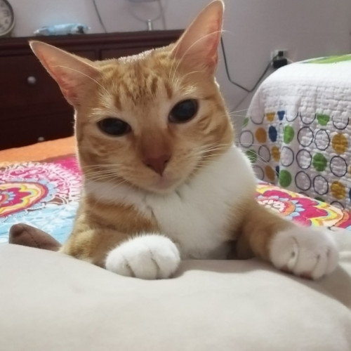 Lupita