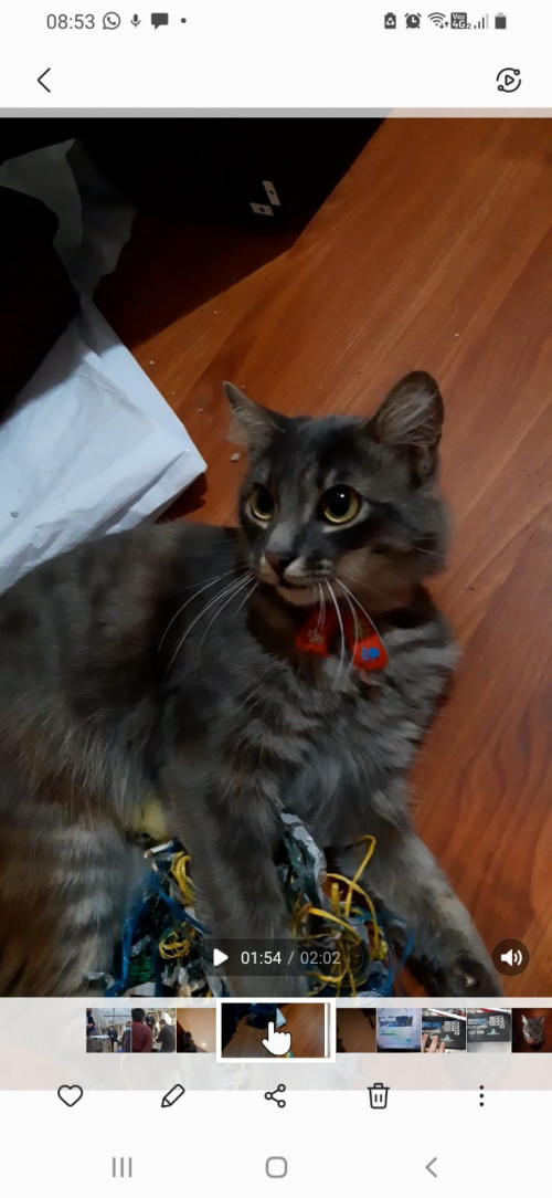 Ares