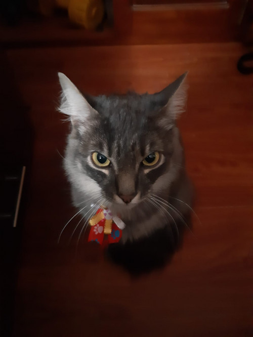 Ares