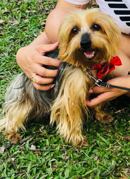 Chiki
