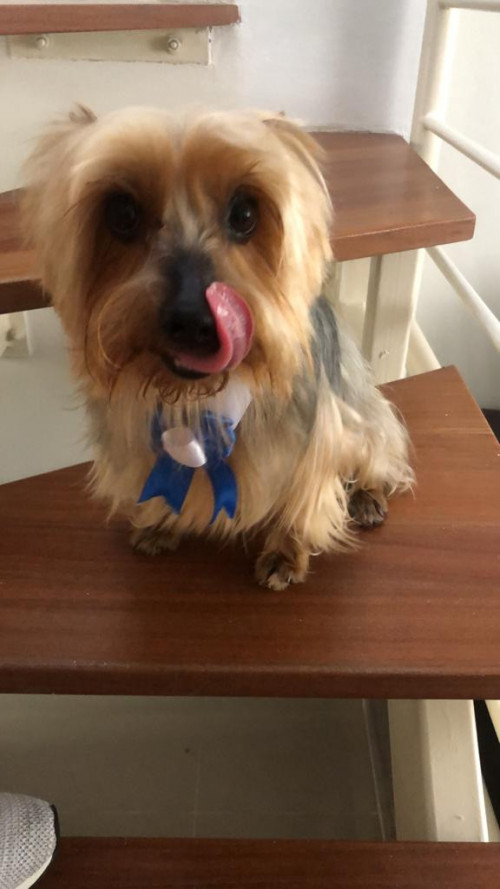 Chiki