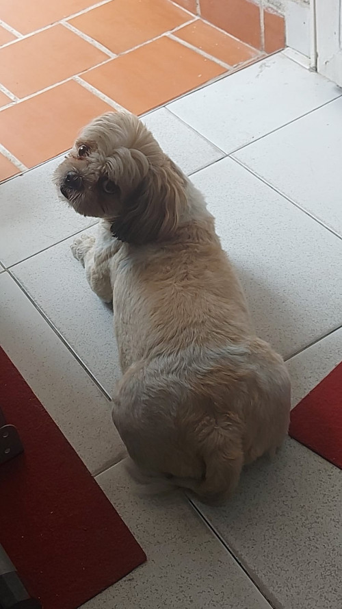 Joaco