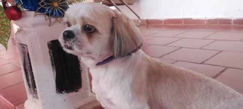 Joaco