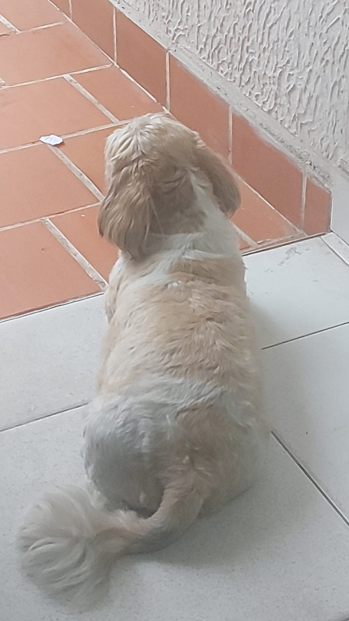 Joaco