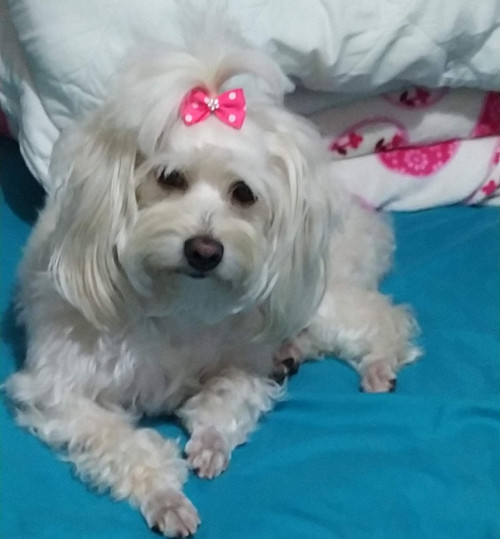 Minnie