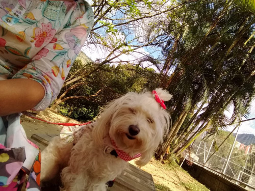 Minnie