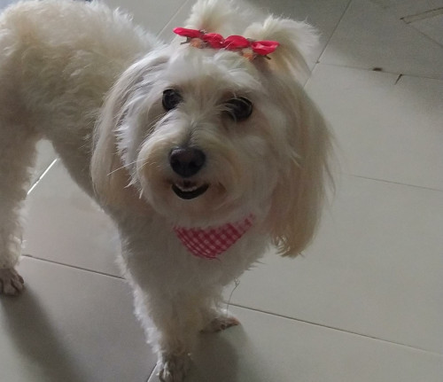 Minnie