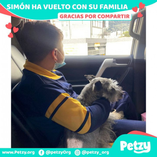 Foto de mascota Simon