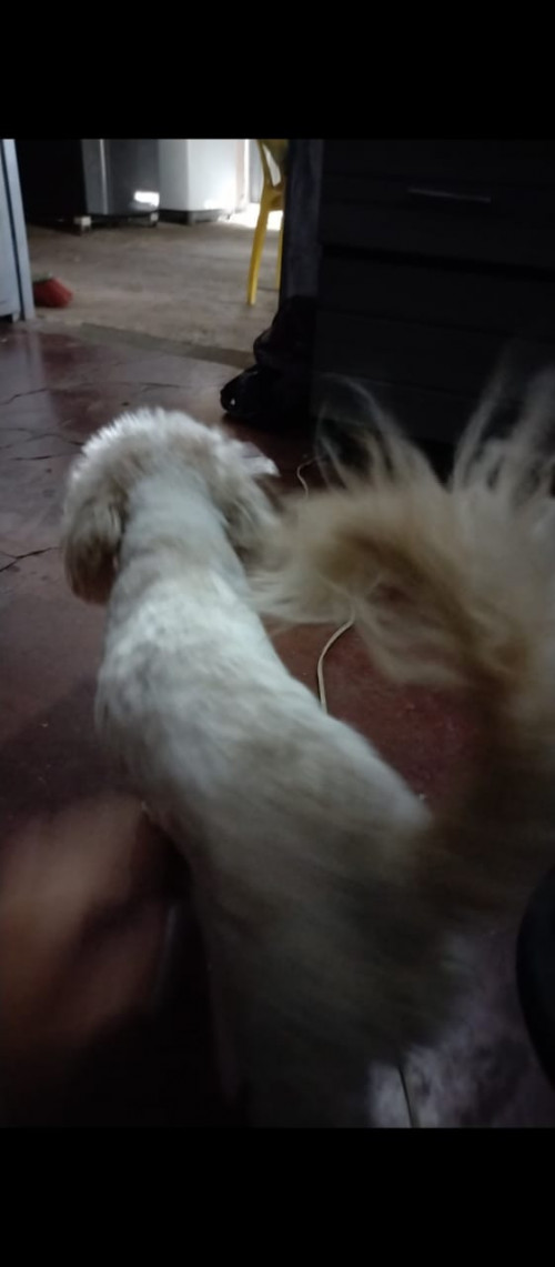 Tonny
