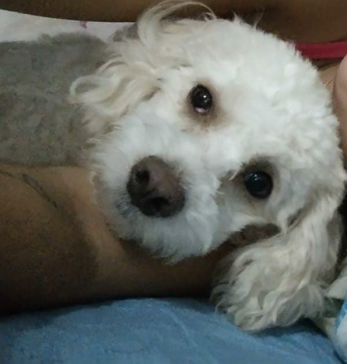 Tonny