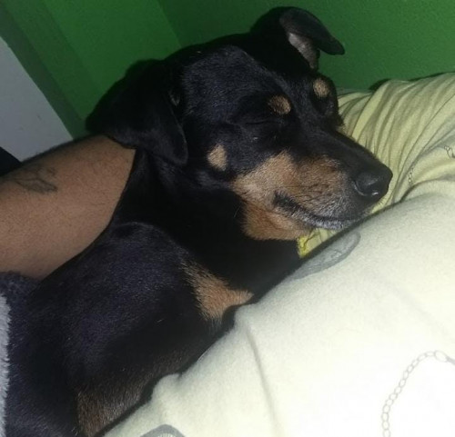 Muñeco