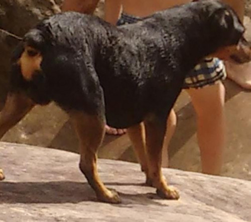 Muñeco