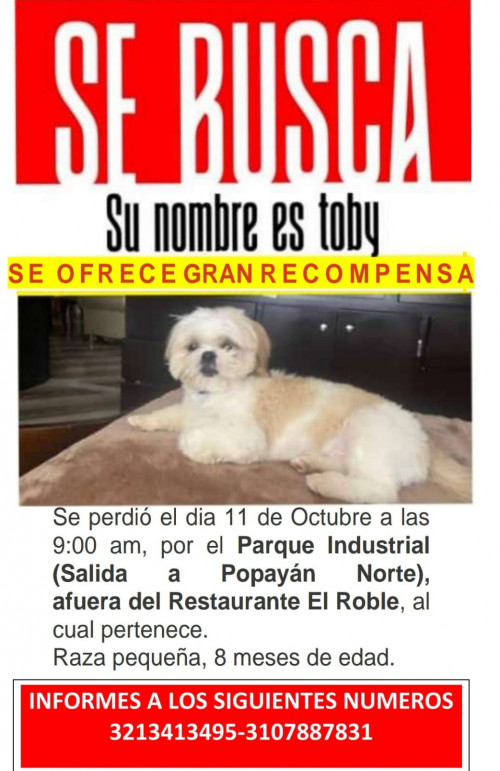 Toby