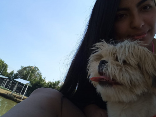 Toby