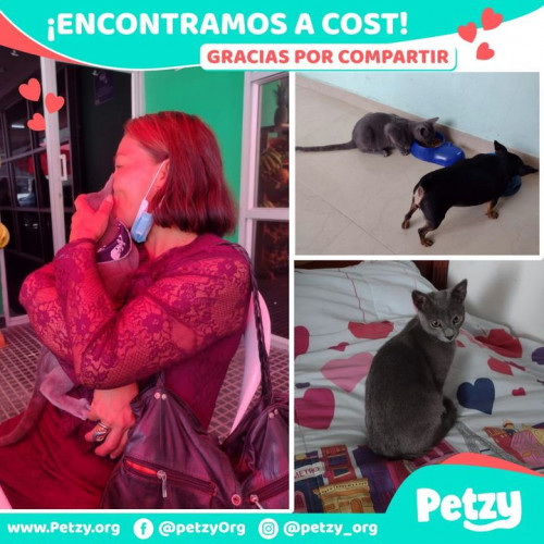 Foto de mascota Cost