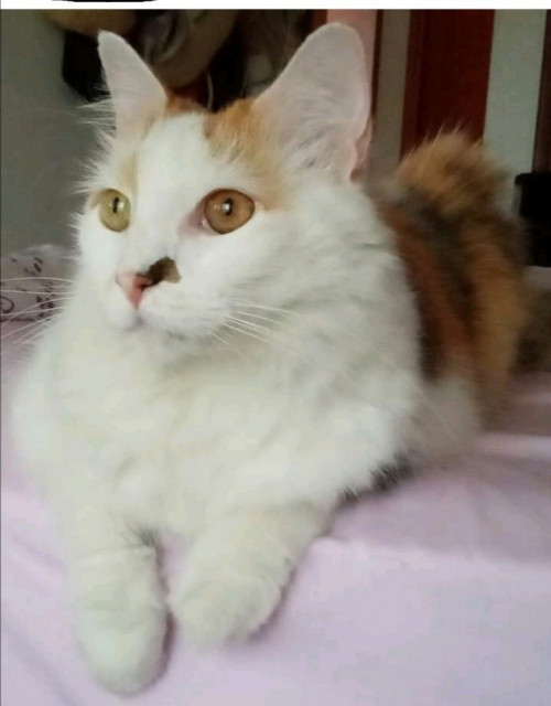 Lupita