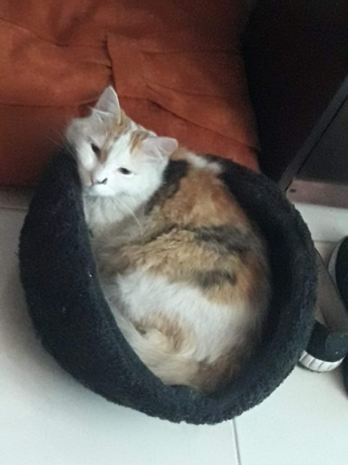 Lupita