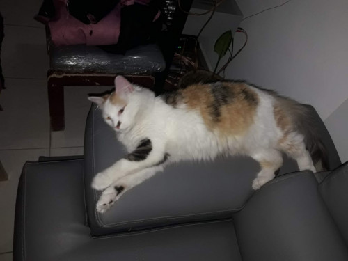 Lupita