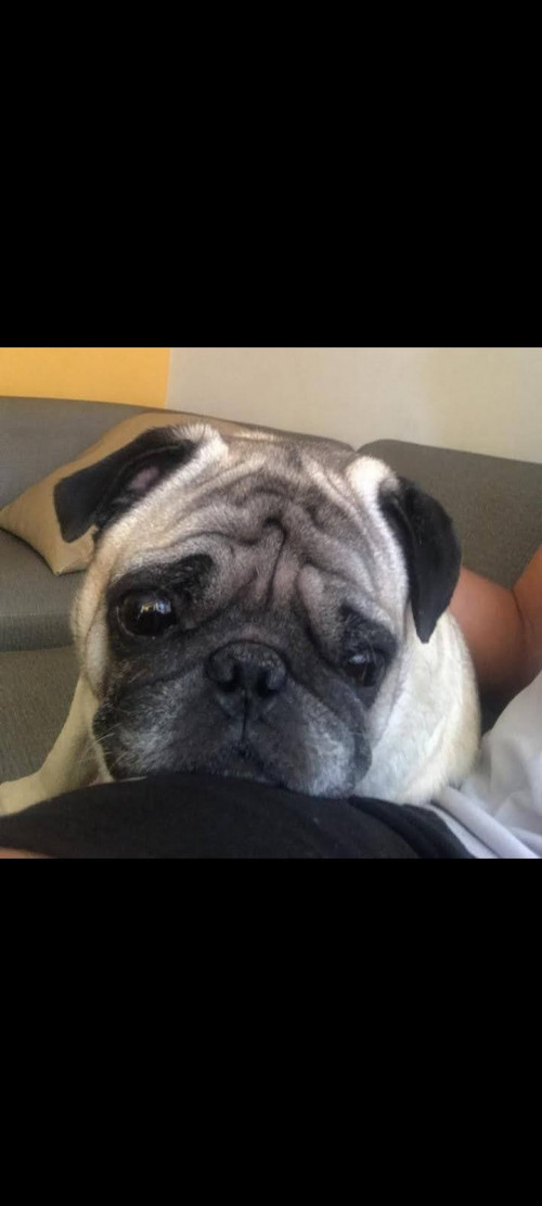 Peter