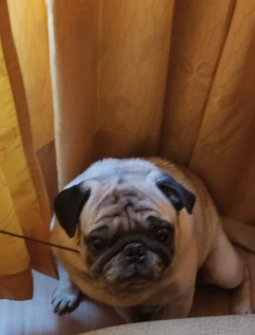 Peter