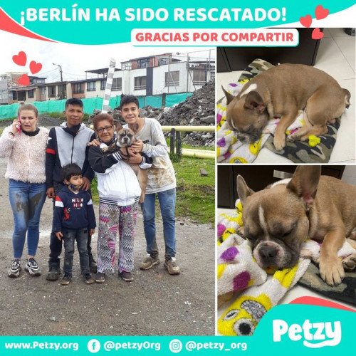 Foto de mascota Berlín 