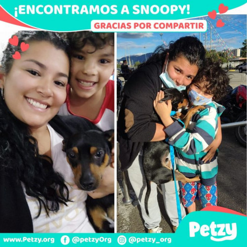 Foto de mascota Snoopy