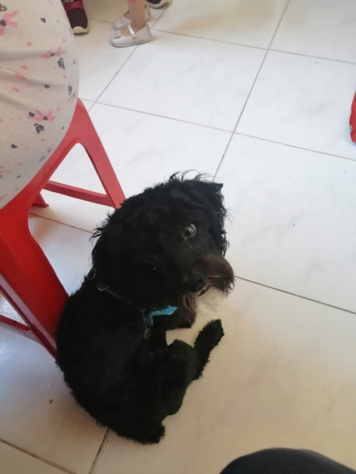 Max