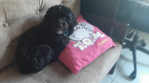 Max