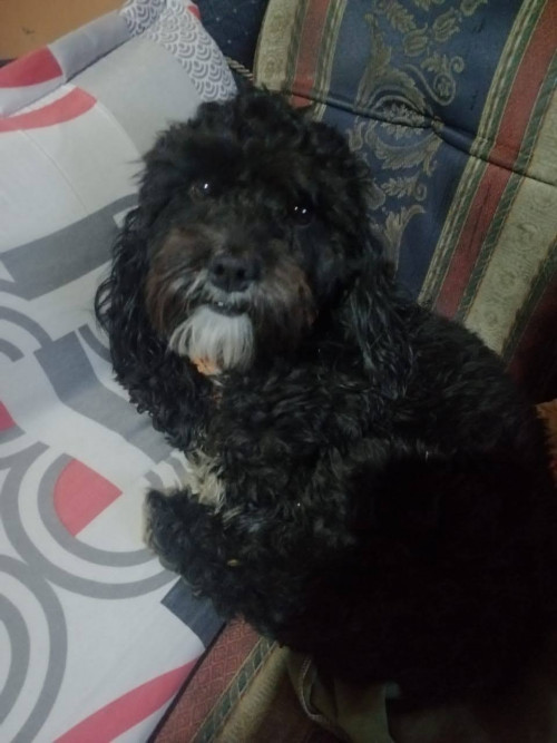 Max