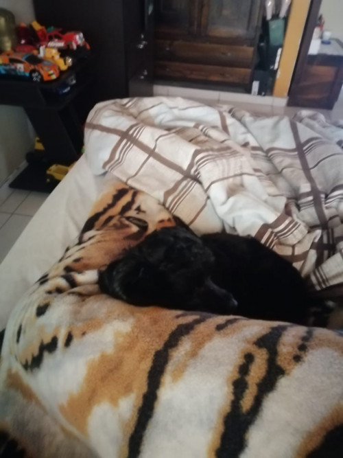 Max