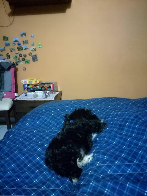 Max