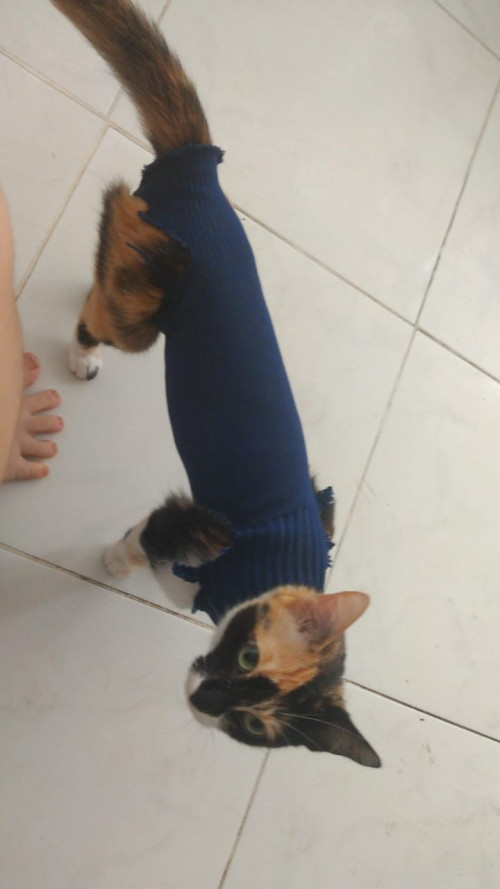 Mitzy