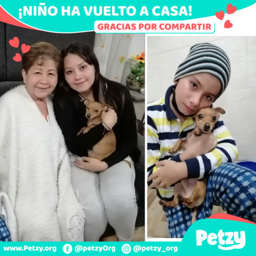 Foto de mascota Niño 