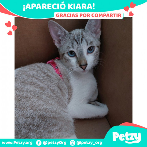 Foto de mascota Kiara 