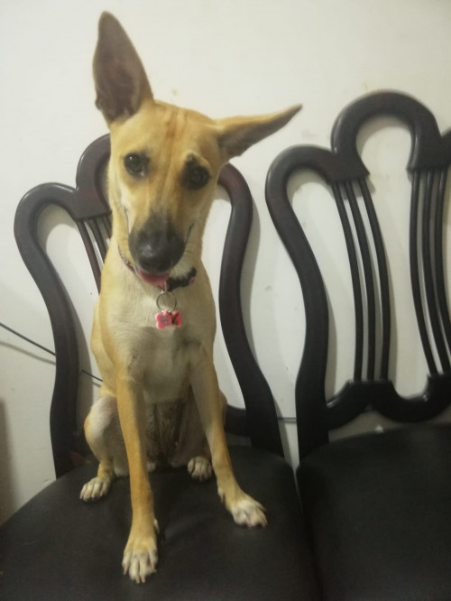 Cuqui Luna