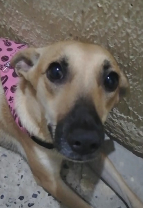 Cuqui Luna