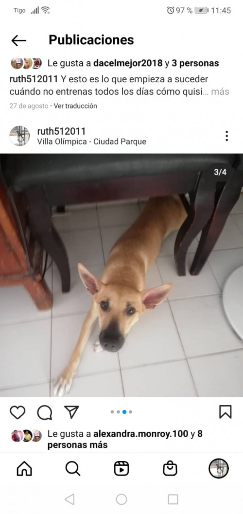 Cuqui Luna