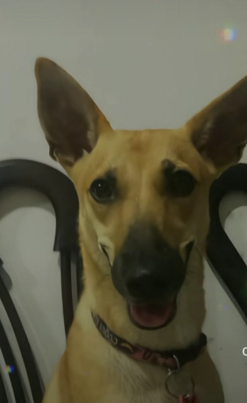 Cuqui Luna