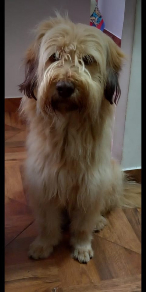 Zeus