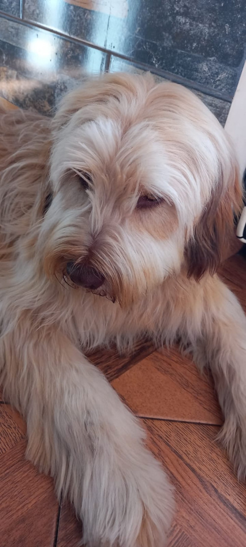 Zeus