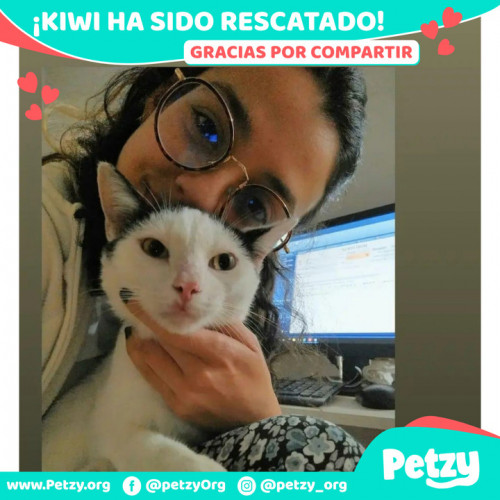 Foto de mascota Kiwi