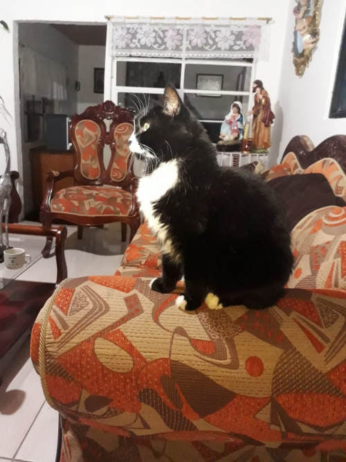 Niña