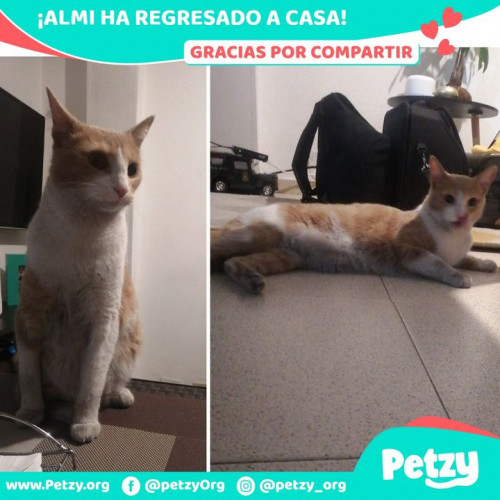 Foto de mascota Almi