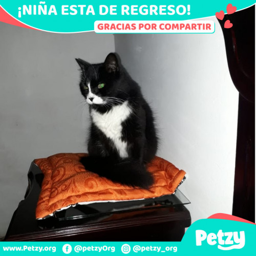 Foto de mascota Niña