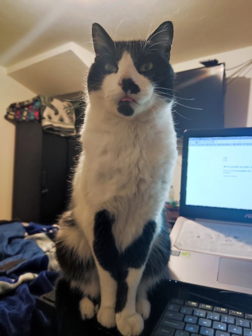 Mateo