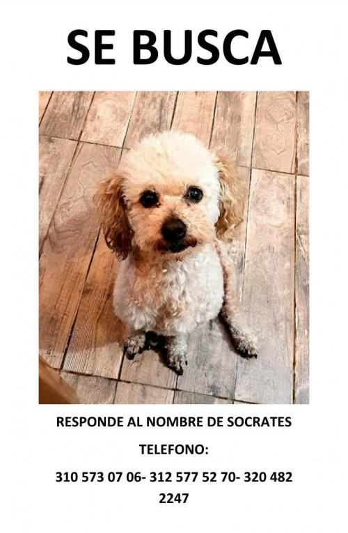 Socrates