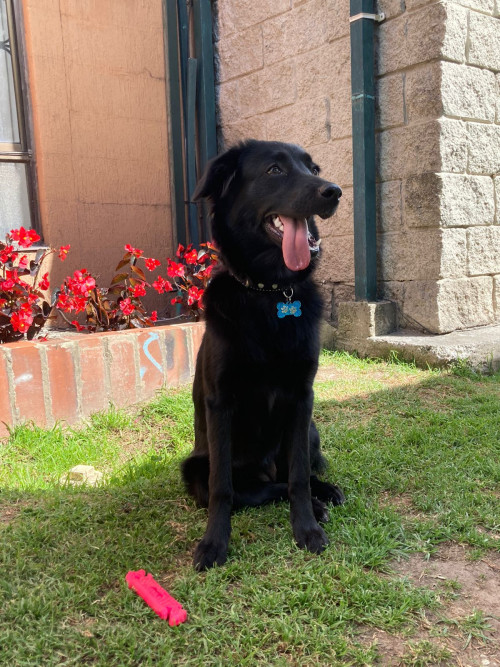 Dakota