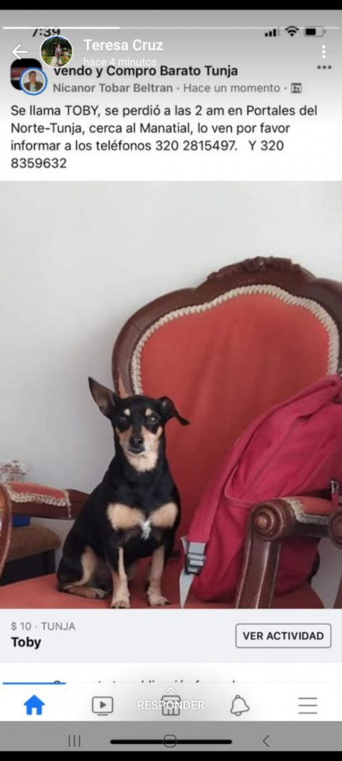 Toby
